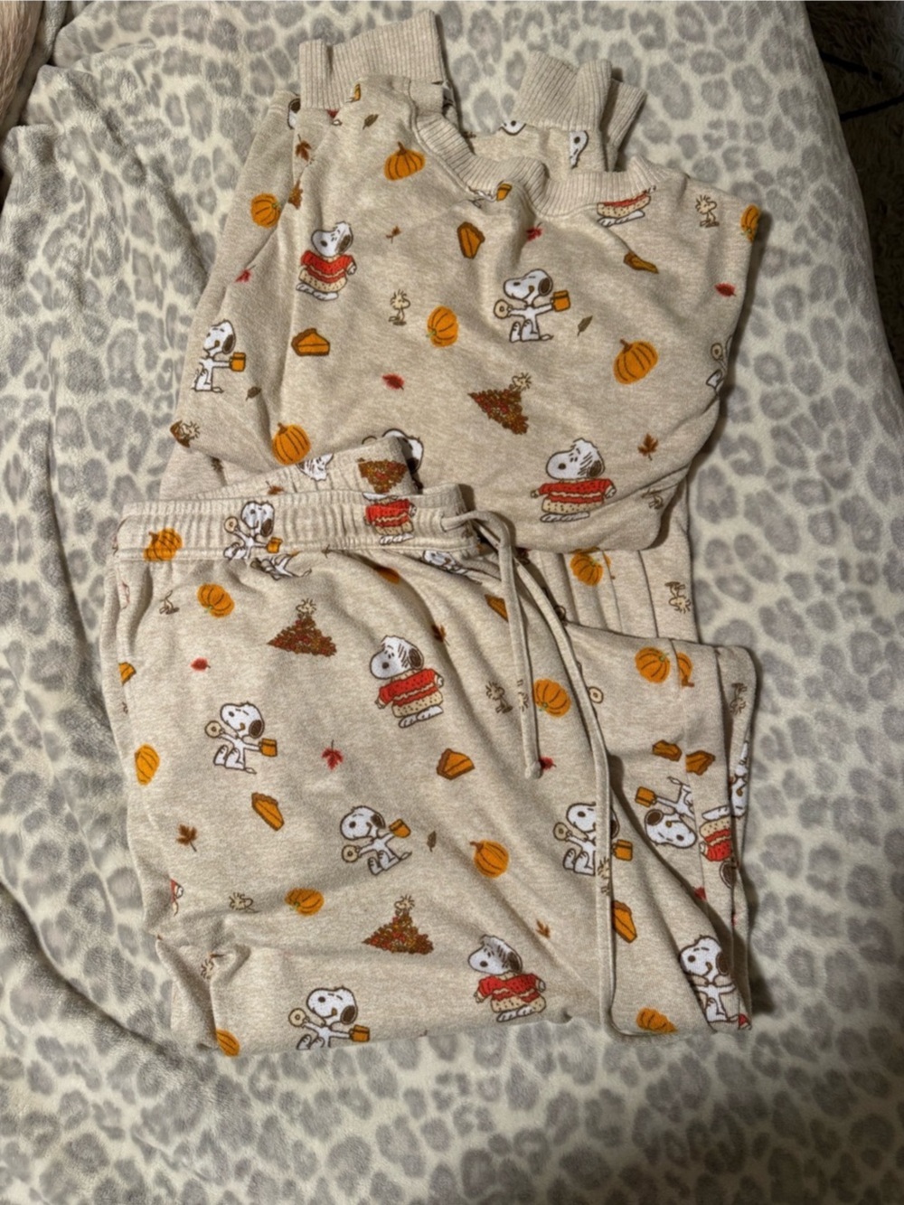 American Eagle AE Luxe Plush Snoopy Long Sleeve + Pants Pajamas